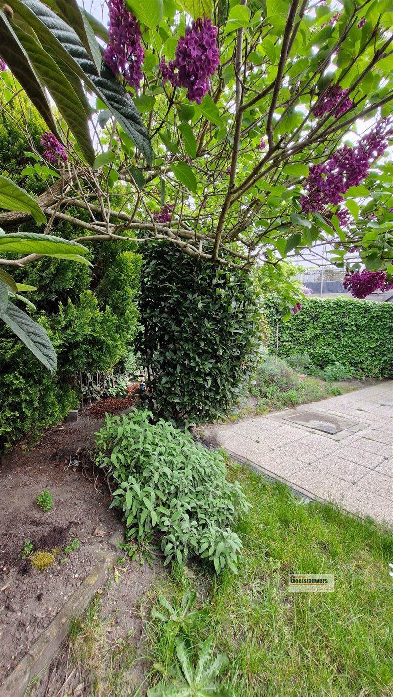 Huis in Antwerpen - foto 13