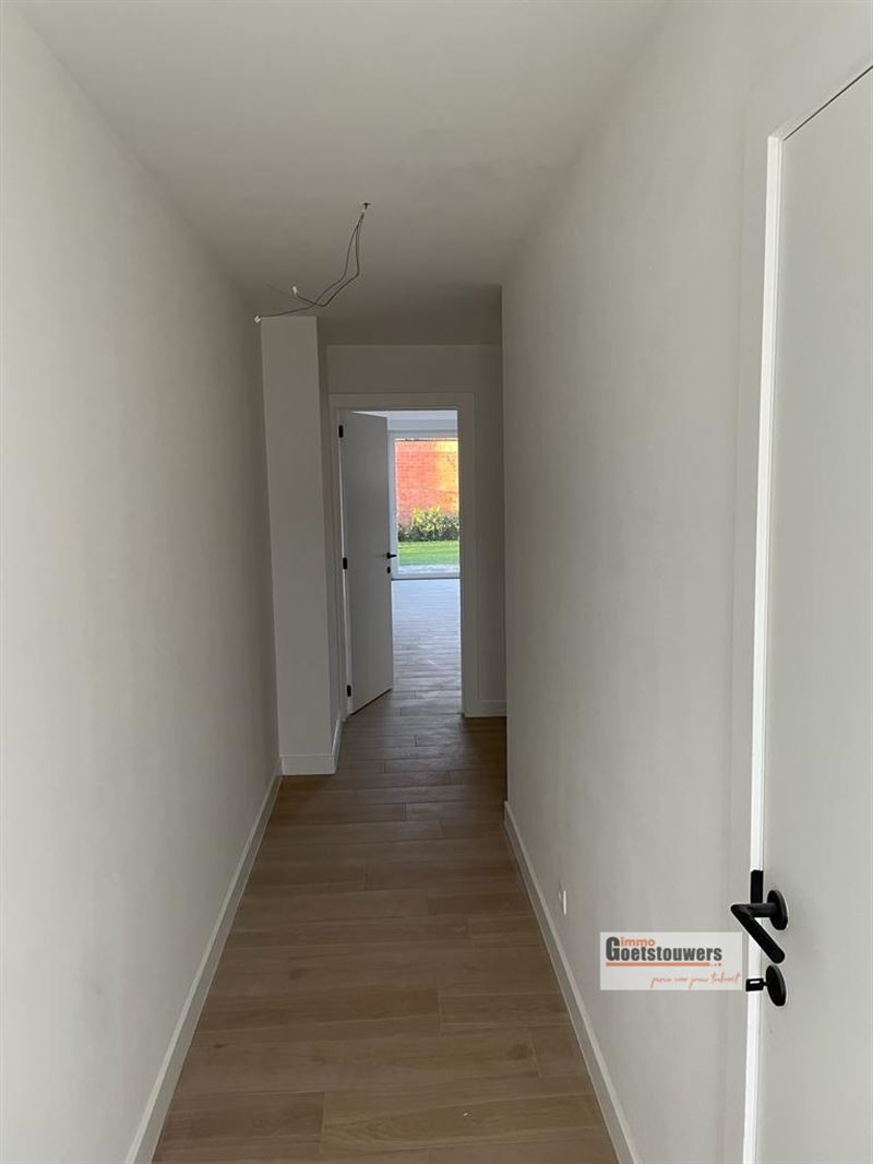 Huis in Brasschaat foto 2