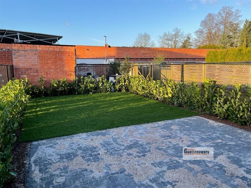 Huis in Brasschaat - foto 8