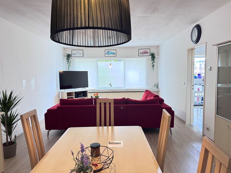 Appartement in Brasschaat foto 4